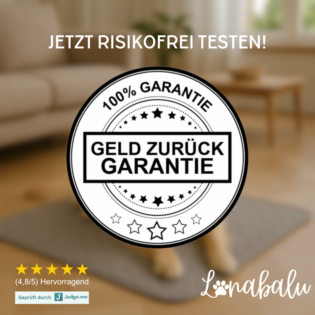 QuickCool™ Pro - Die innovative Kühlmatte für Hunde